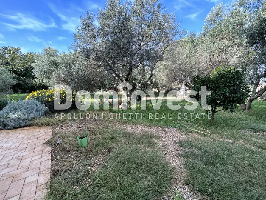 Immagine 20 di Villa in affitto  a Montalto Di Castro