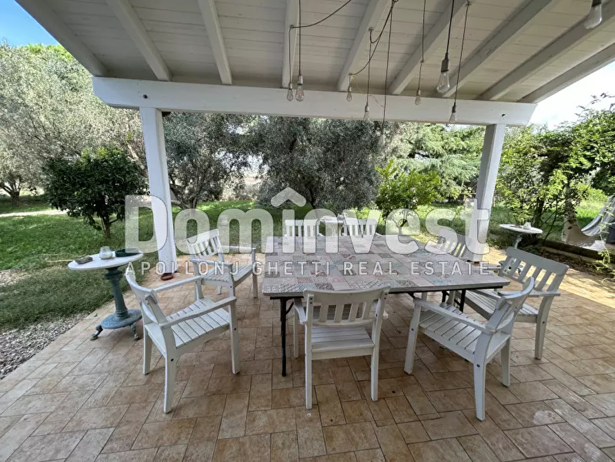 Immagine 21 di Villa in affitto  a Montalto Di Castro