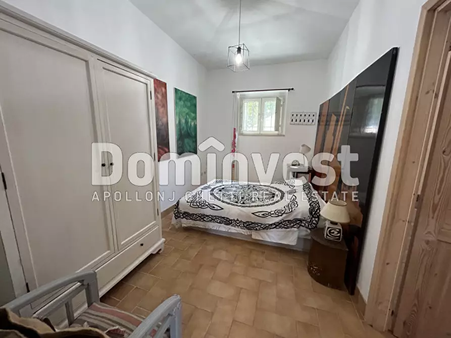 Immagine 26 di Villa in affitto  a Montalto Di Castro