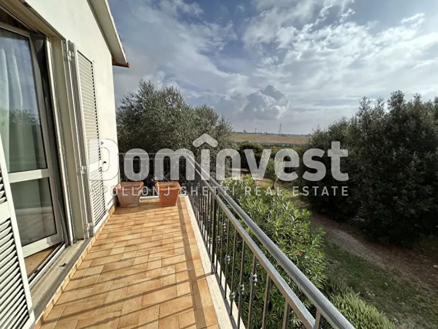 Immagine 30 di Villa in affitto  a Montalto Di Castro