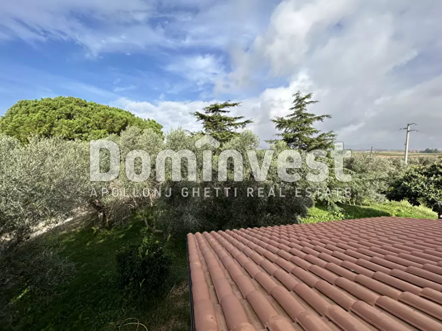 Immagine 39 di Villa in affitto  a Montalto Di Castro