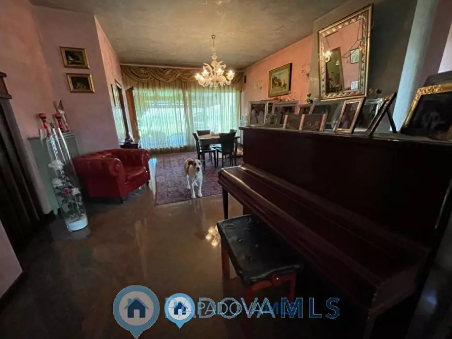 Immagine 2 di Villa in vendita  in Via Monte Cengio a Vigonza