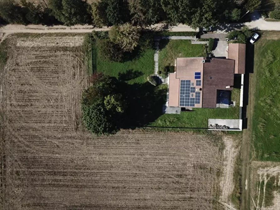 Immagine 3 di Villa in vendita  a San Giorgio In Bosco