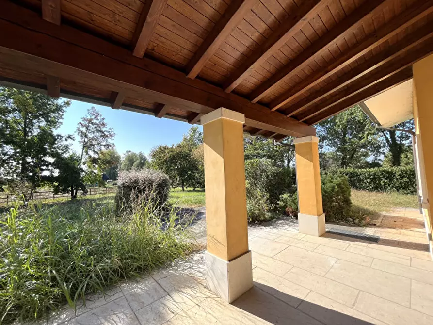 Immagine 9 di Villa in vendita  a San Giorgio In Bosco