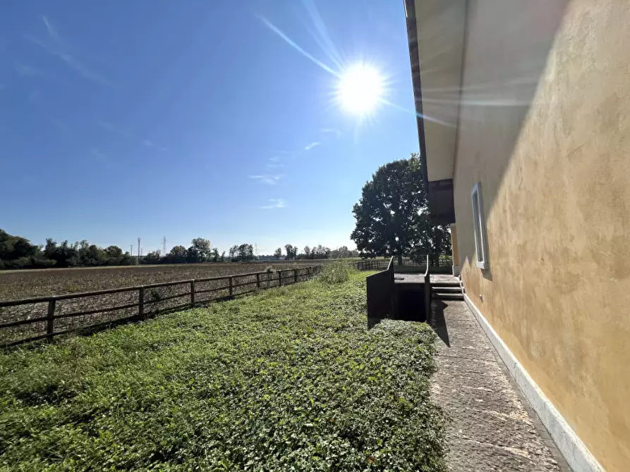 Immagine 11 di Villa in vendita  a San Giorgio In Bosco