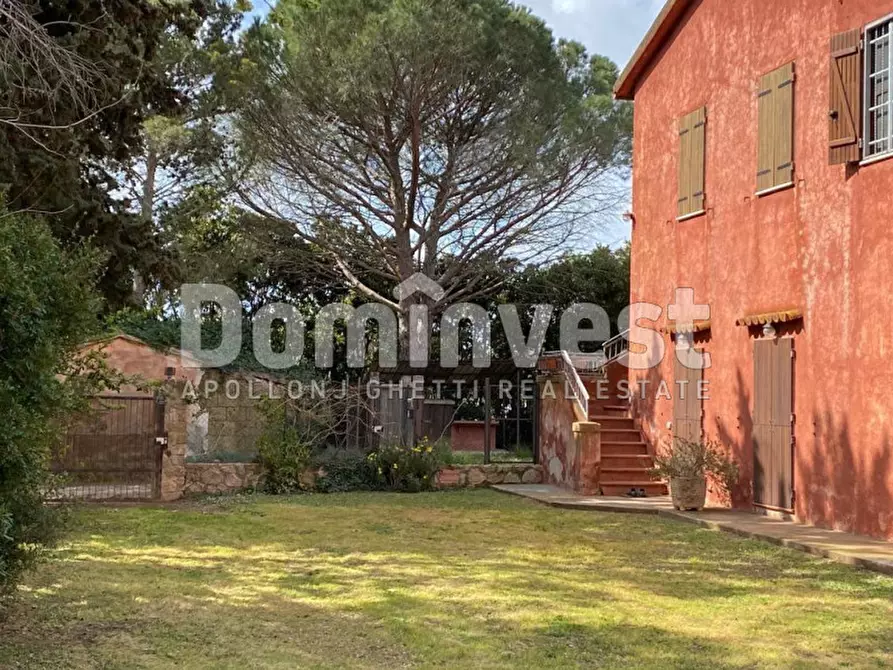 Immagine 2 di Rustico / casale in affitto  in strada Valmarina a Capalbio