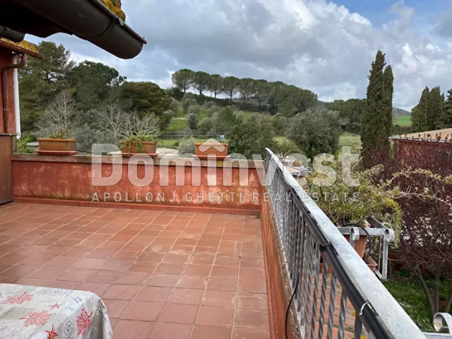 Immagine 4 di Rustico / casale in affitto  in strada Valmarina a Capalbio