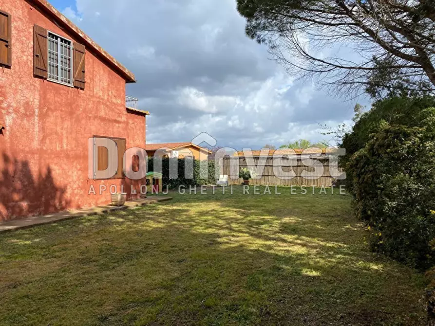 Immagine 6 di Rustico / casale in affitto  in strada Valmarina a Capalbio