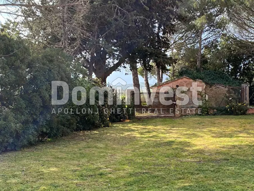 Immagine 8 di Rustico / casale in affitto  in strada Valmarina a Capalbio