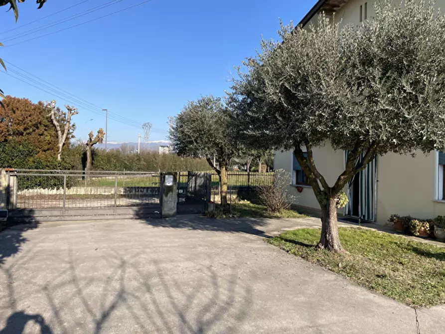 Immagine 5 di Villetta a schiera in vendita  a Cittadella