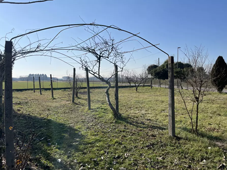 Immagine 6 di Villetta a schiera in vendita  a Cittadella