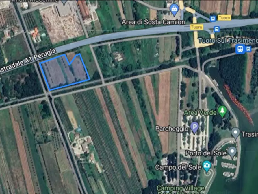 Immagine 3 di Terreno in vendita  a Tuoro Sul Trasimeno