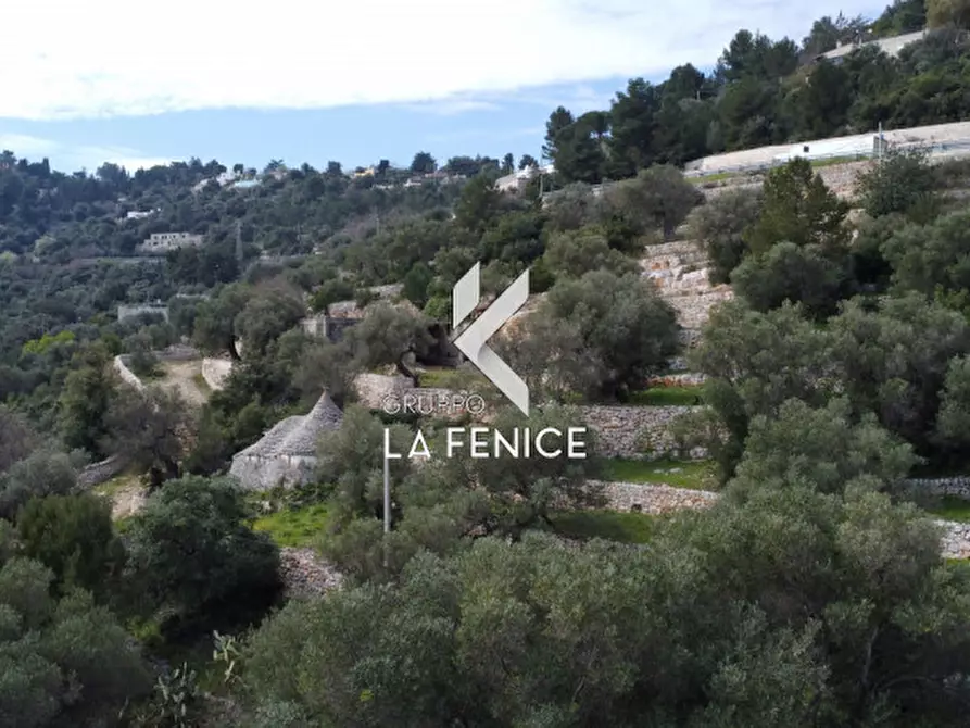 Immagine 3 di Rustico / casale in vendita  in contrada Giardinelli a Fasano