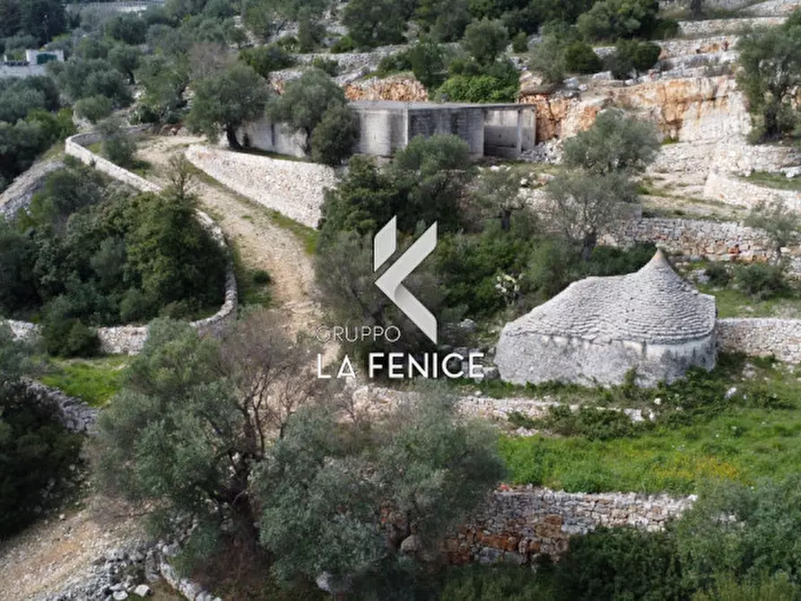 Immagine 4 di Rustico / casale in vendita  in contrada Giardinelli a Fasano