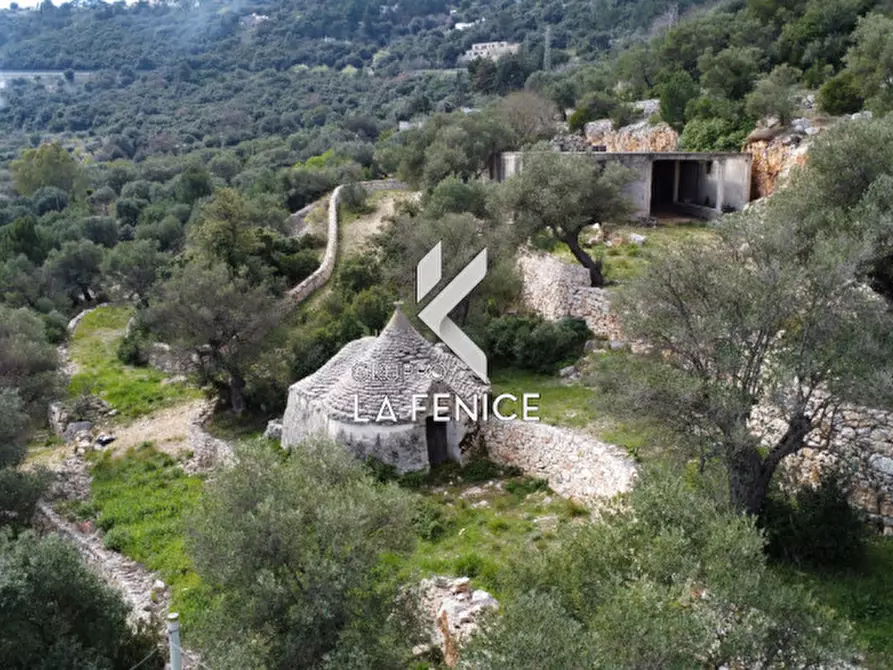 Immagine 6 di Rustico / casale in vendita  in contrada Giardinelli a Fasano