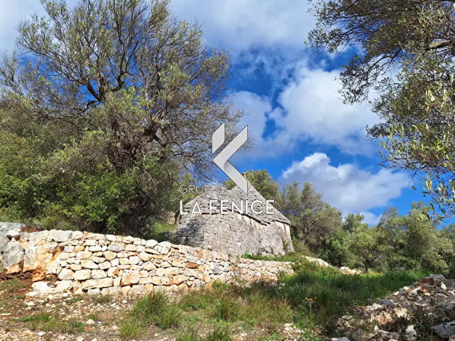 Immagine 15 di Rustico / casale in vendita  in contrada Giardinelli a Fasano