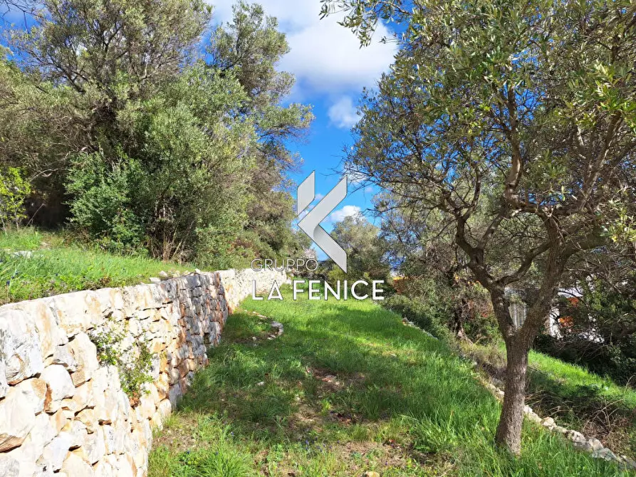 Immagine 19 di Rustico / casale in vendita  in contrada Giardinelli a Fasano