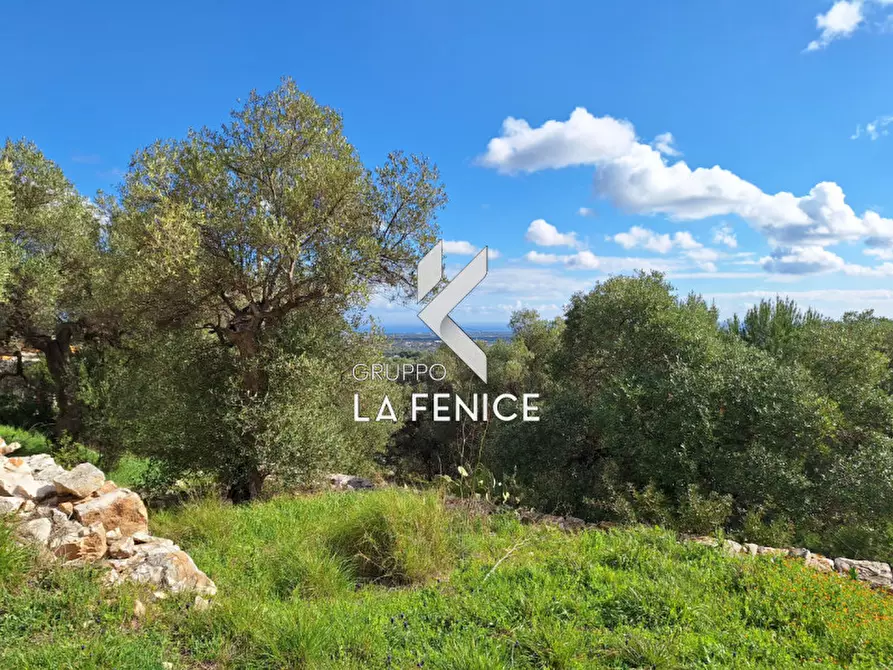 Immagine 22 di Rustico / casale in vendita  in contrada Giardinelli a Fasano