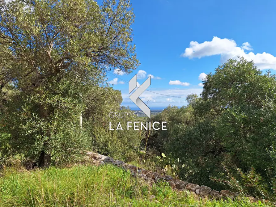 Immagine 23 di Rustico / casale in vendita  in contrada Giardinelli a Fasano