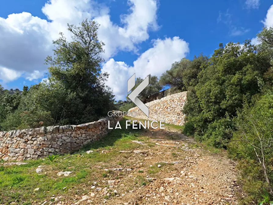Immagine 24 di Rustico / casale in vendita  in contrada Giardinelli a Fasano