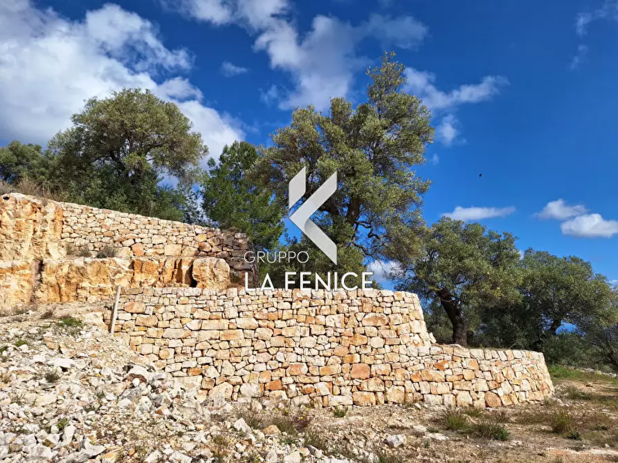 Immagine 27 di Rustico / casale in vendita  in contrada Giardinelli a Fasano