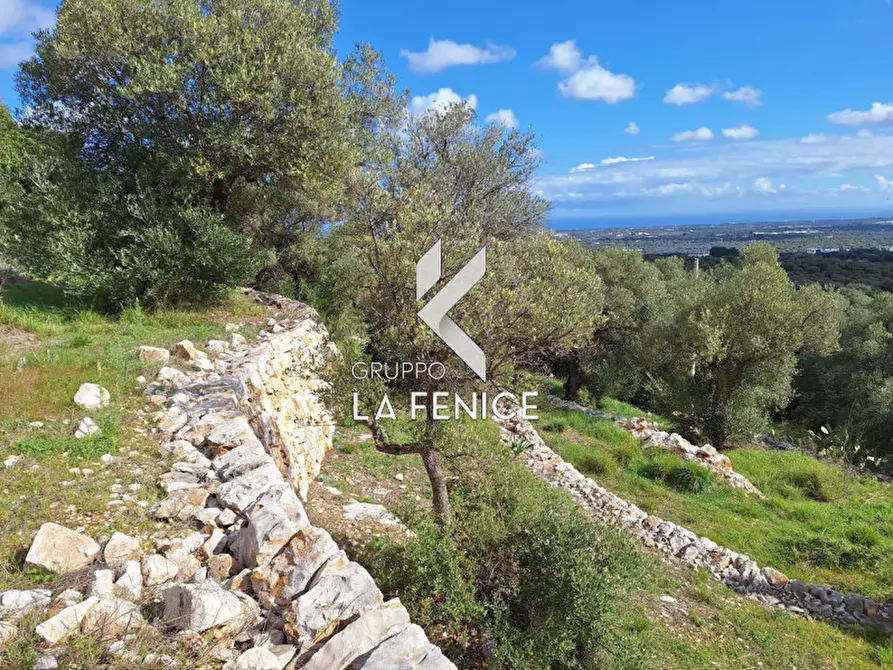 Immagine 28 di Rustico / casale in vendita  in contrada Giardinelli a Fasano