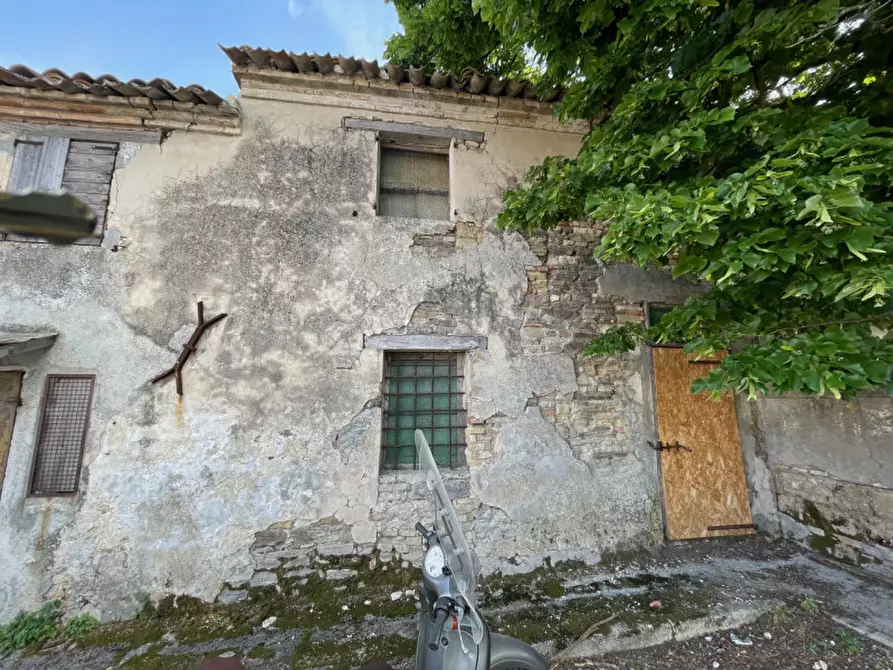 Immagine 5 di Villetta a schiera in vendita  a Senigallia