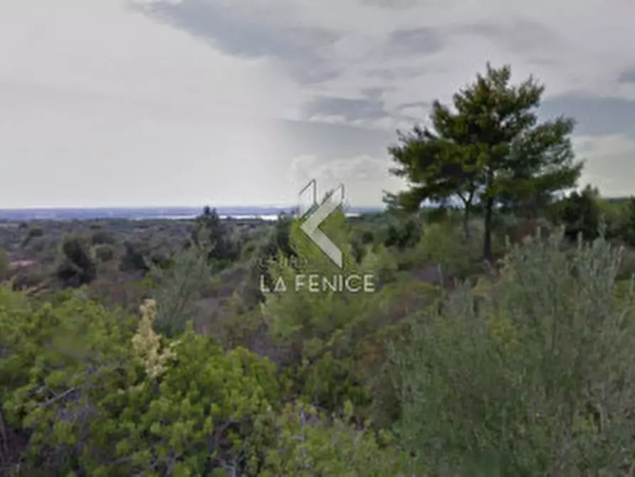 Immagine 2 di Terreno in vendita  a Massafra