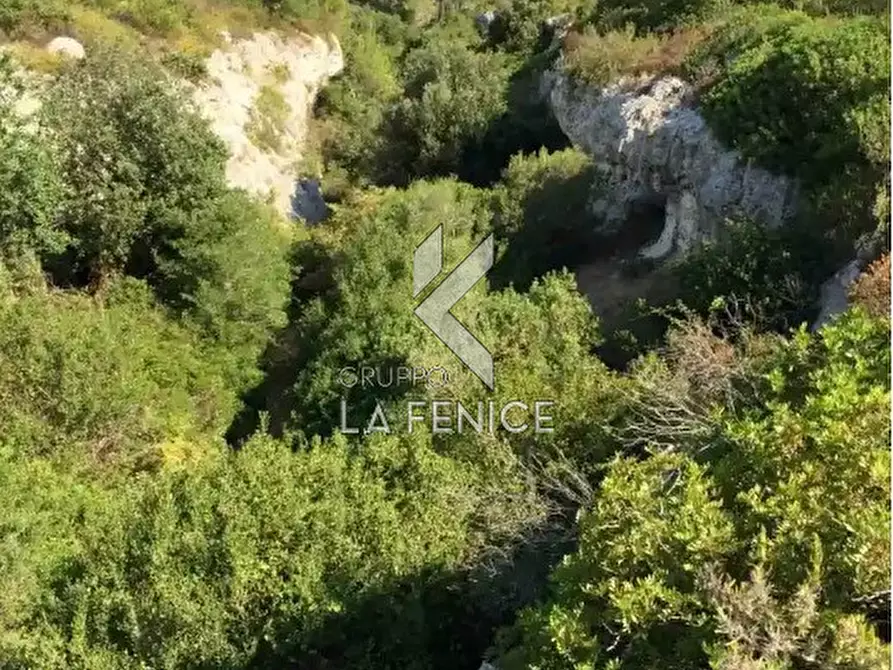 Immagine 3 di Terreno in vendita  a Massafra