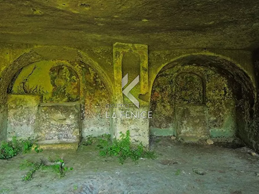 Immagine 5 di Terreno in vendita  a Massafra