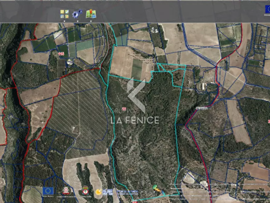 Immagine 9 di Terreno in vendita  a Massafra