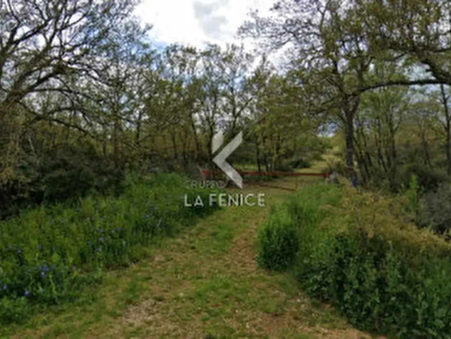 Immagine 2 di Terreno in vendita  a Martina Franca