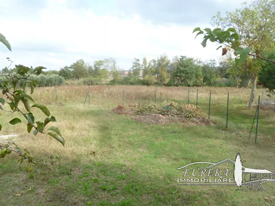 Immagine 38 di Villa in vendita  in panicarola a Castiglione Del Lago