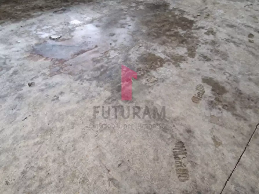 Immagine 4 di Capannone industriale in vendita  in via tassello a Monselice