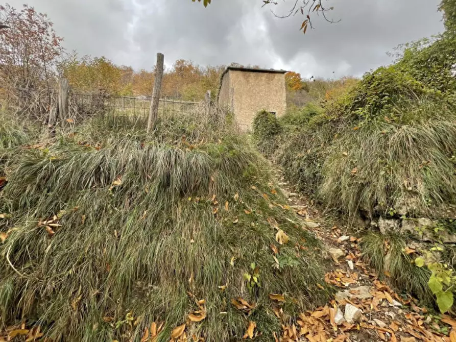 Immagine 6 di Terreno in vendita  in Località Statale, N. Snc a Ne