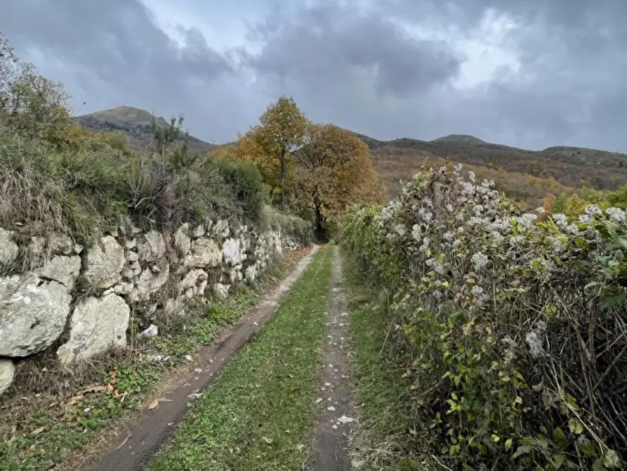 Immagine 7 di Terreno in vendita  in Località Statale, N. Snc a Ne