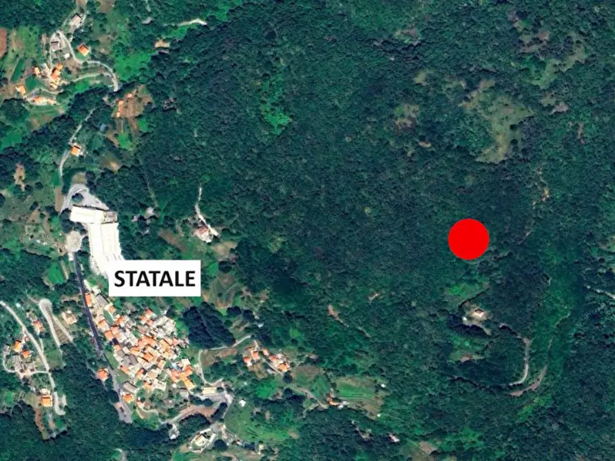 Immagine 14 di Terreno in vendita  in Località Statale, N. Snc a Ne