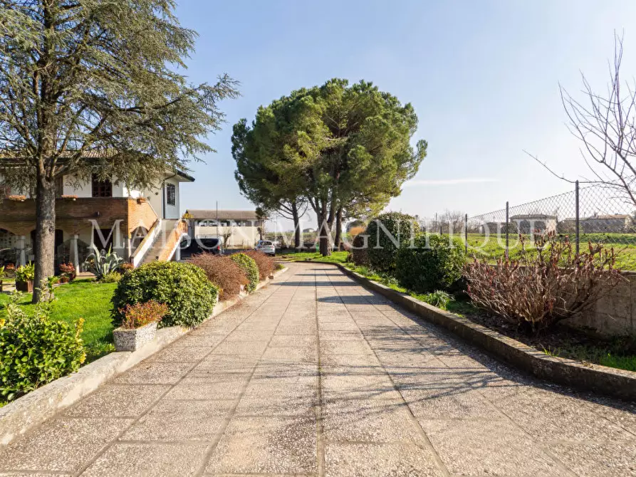 Immagine 1 di Villa in vendita  in Via Venenziano, 16 a Gavello