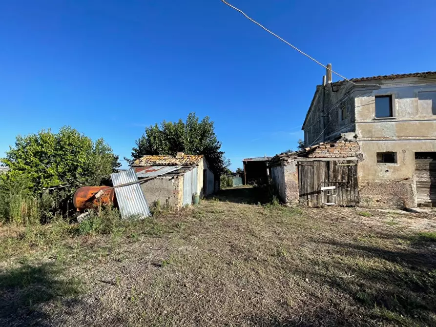 Immagine 2 di Rustico / casale in vendita  a Ostra
