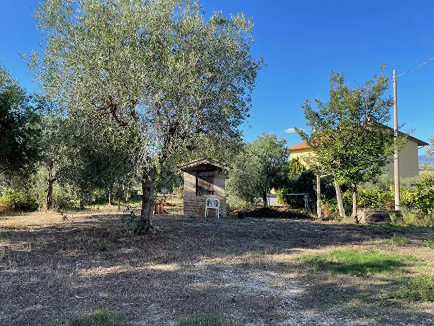 Immagine 24 di Rustico / casale in vendita  a Ostra