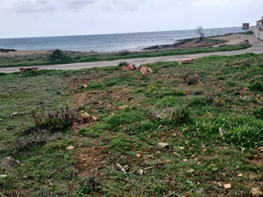 Immagine 4 di Terreno in vendita  in Diana Marina a Ostuni