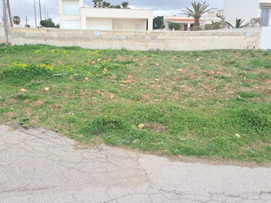 Immagine 7 di Terreno in vendita  in Diana Marina a Ostuni