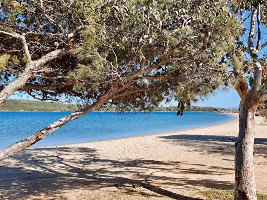 Immagine 18 di Appartamento in vendita  in porto pozzo a Santa Teresa Gallura
