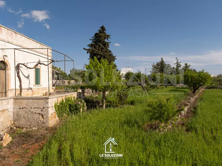 Immagine 4 di Villa in vendita  in strada comunale del rosario a Putignano