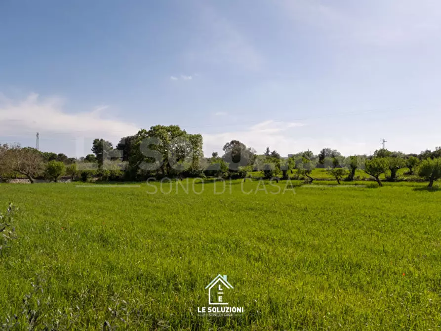 Immagine 5 di Villa in vendita  in strada comunale del rosario a Putignano