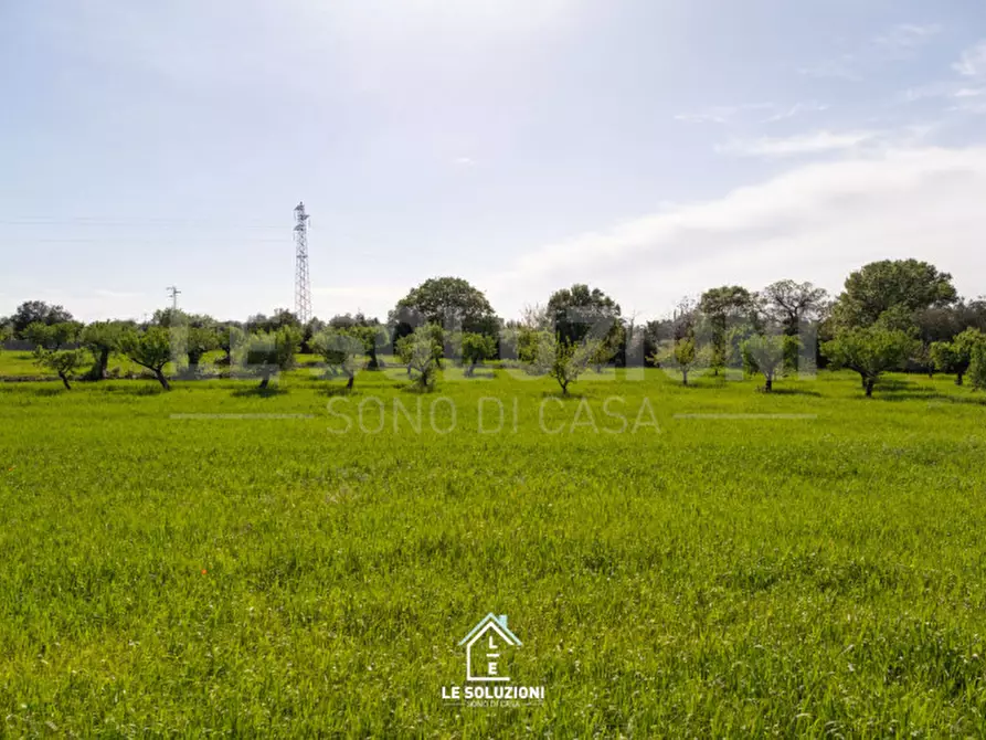 Immagine 6 di Villa in vendita  in strada comunale del rosario a Putignano