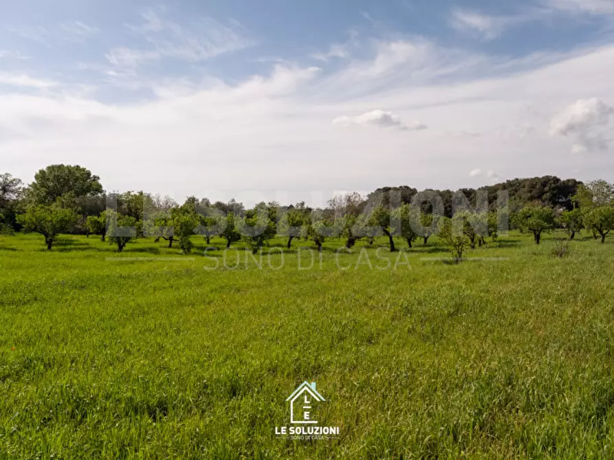 Immagine 7 di Villa in vendita  in strada comunale del rosario a Putignano