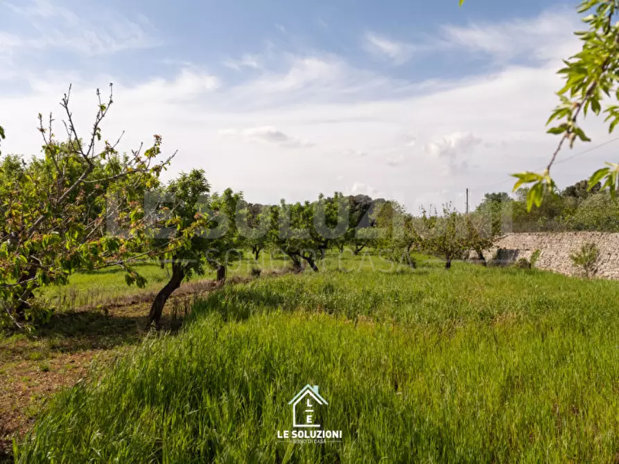 Immagine 8 di Villa in vendita  in strada comunale del rosario a Putignano