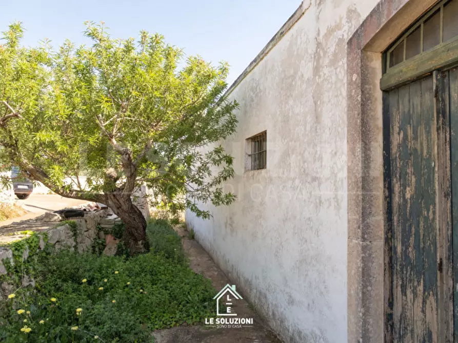 Immagine 13 di Villa in vendita  in strada comunale del rosario a Putignano
