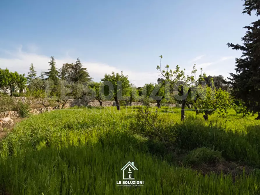 Immagine 16 di Villa in vendita  in strada comunale del rosario a Putignano